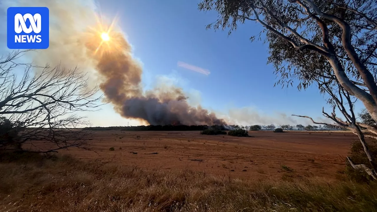 Emergency level bushfire threatens homes and plantations near Carnarvon