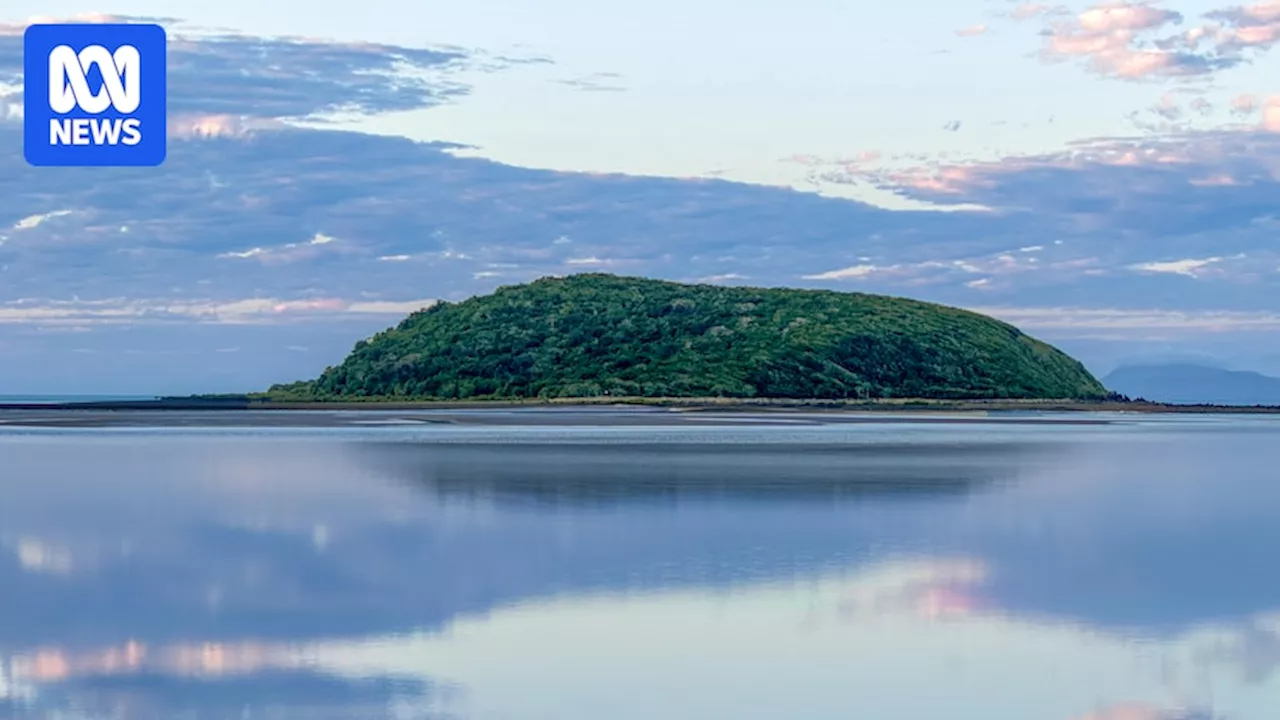 Little Green Island back in Australian hands after $5.6 million sale to Mackay family