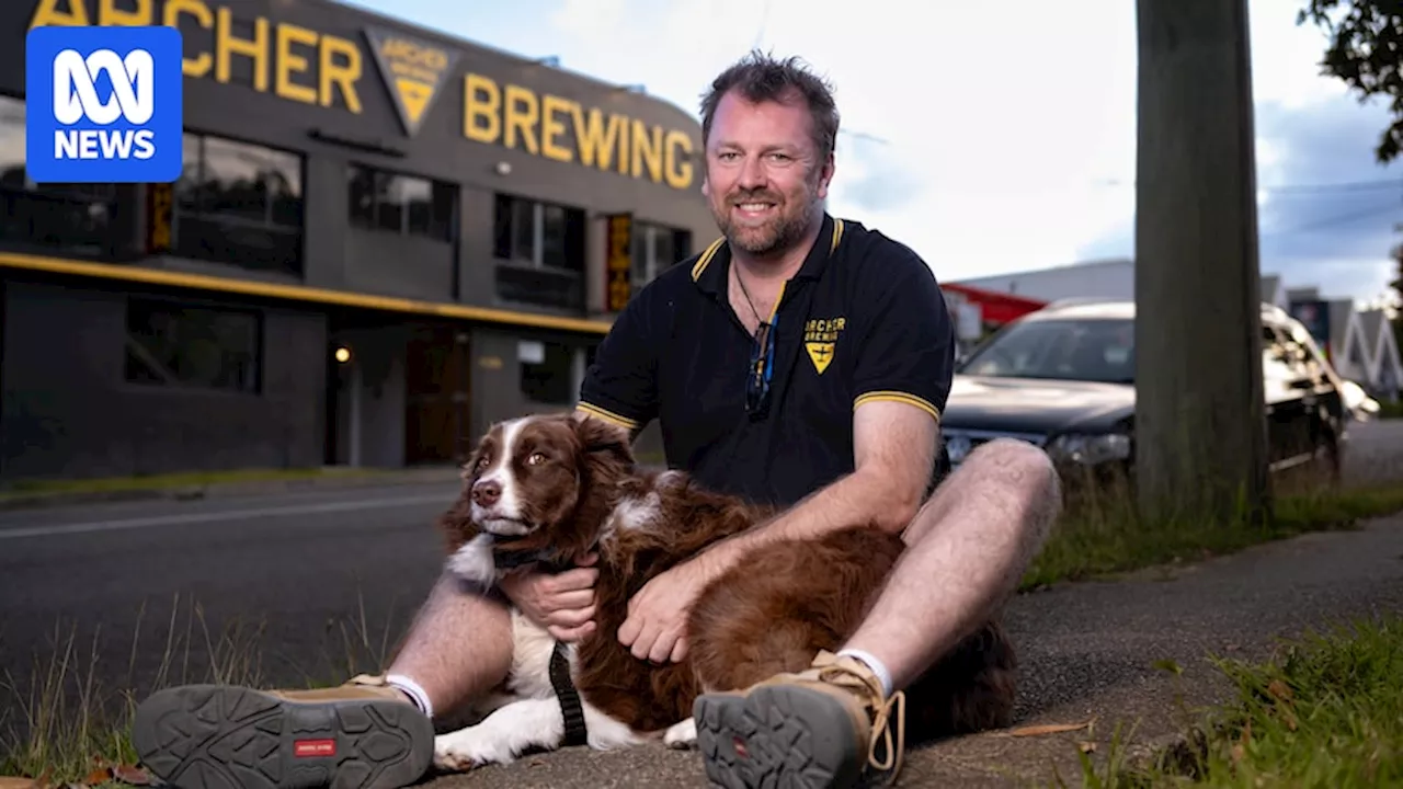 Pet-friendly Archer Brewing that brewed own 'dog beer' campaigns to change laws banning pets from pubs