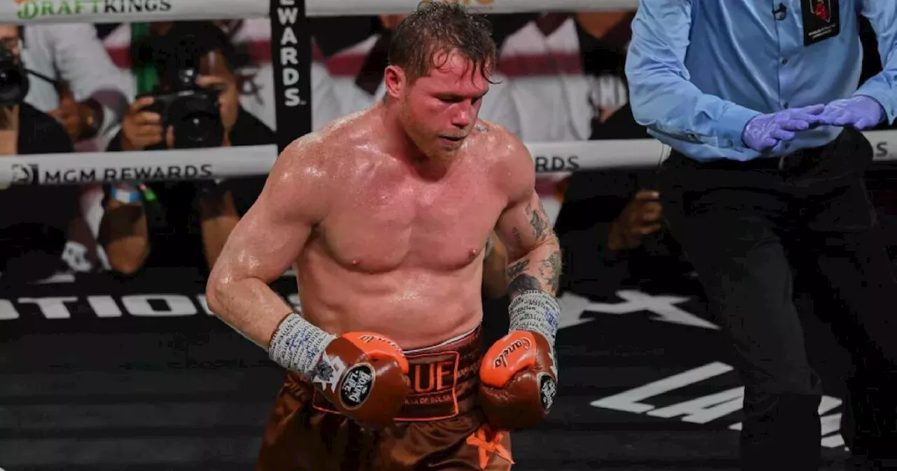 Cu Ndo Es La Pr Xima Pelea De Sa L Canelo Lvarez Canelo Alvarez