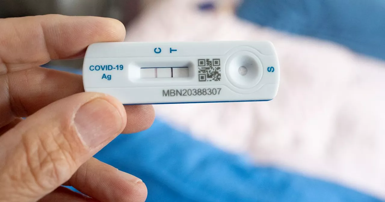 New Covid-19 Variant XEC Spreads Rapidly Across Europe