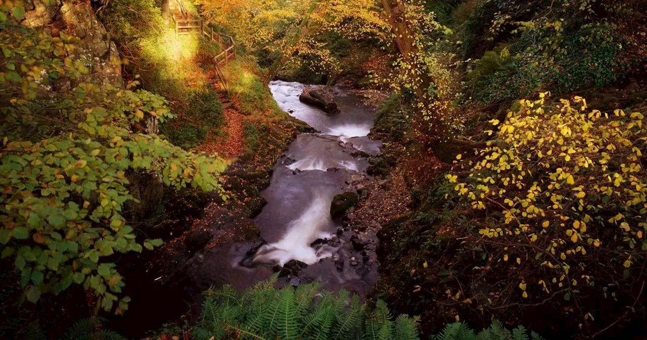 Warmer temperatures expected in Northern Ireland this week