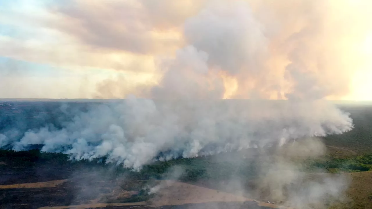 Brésil: la lutte acharnée contre le feu se poursuit dans une réserve naturelle à Brasilia