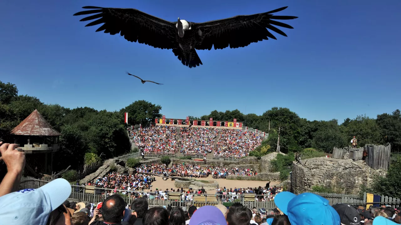 Le Puy du Fou rachète 400 hectares de terres, la Confédération paysanne dénonce un 'accaparement excessif'