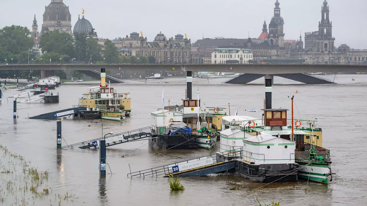 Bald Warnstufe 4 an der Elbe? So hoch steigt das Wasser in Dresden