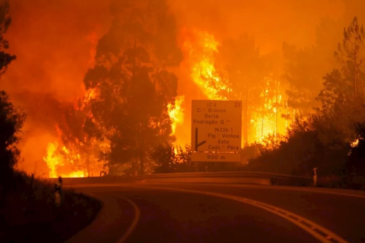 Portugal’s forest fires lead to severe Motorway closures