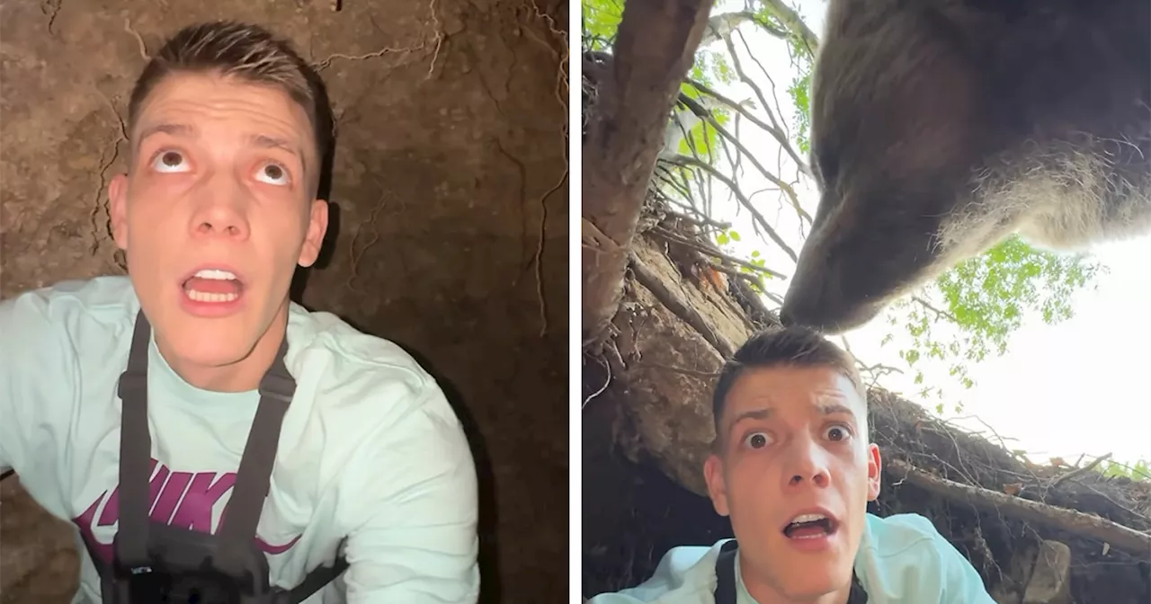 Influencer Films Close Encounter With Bear After Entering Its Den