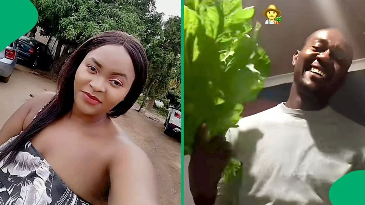 Farmer Gent Surprises Girlfriend With a Bouquet of Spinach, Mzansi Loves It: “Edible Flowers”