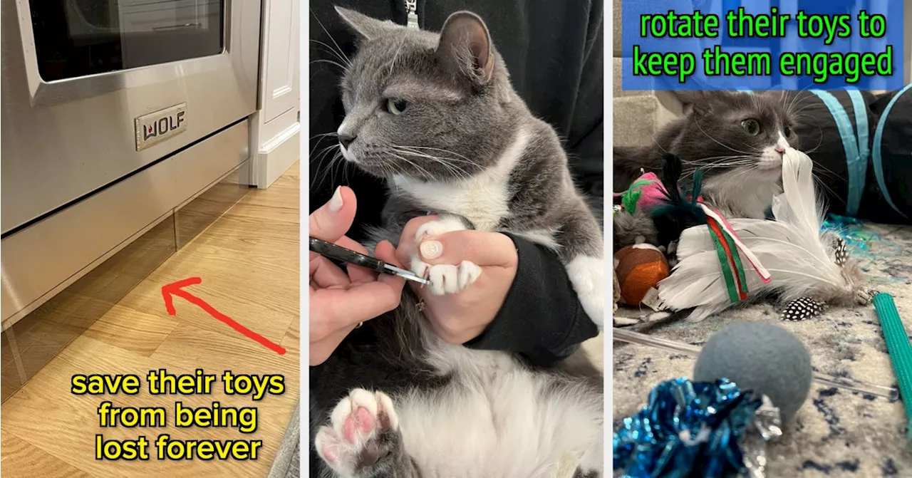 10 Genius Cat Hacks To Make Your Life Easier (And Your Kitty Happier)