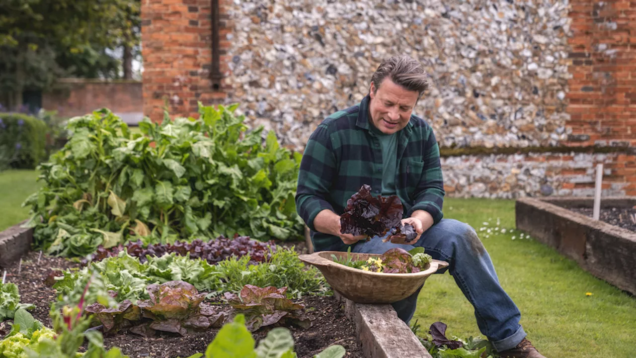 Recreate spring in delicious style with Jamie Oliver's easy seasonal recipes