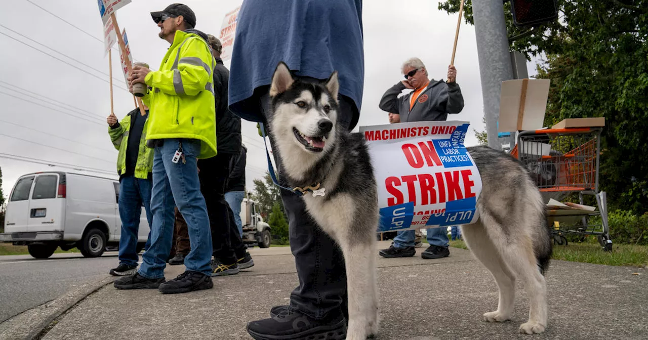 Boeing freezes hiring and mulls temporary layoffs, citing machinists' strike