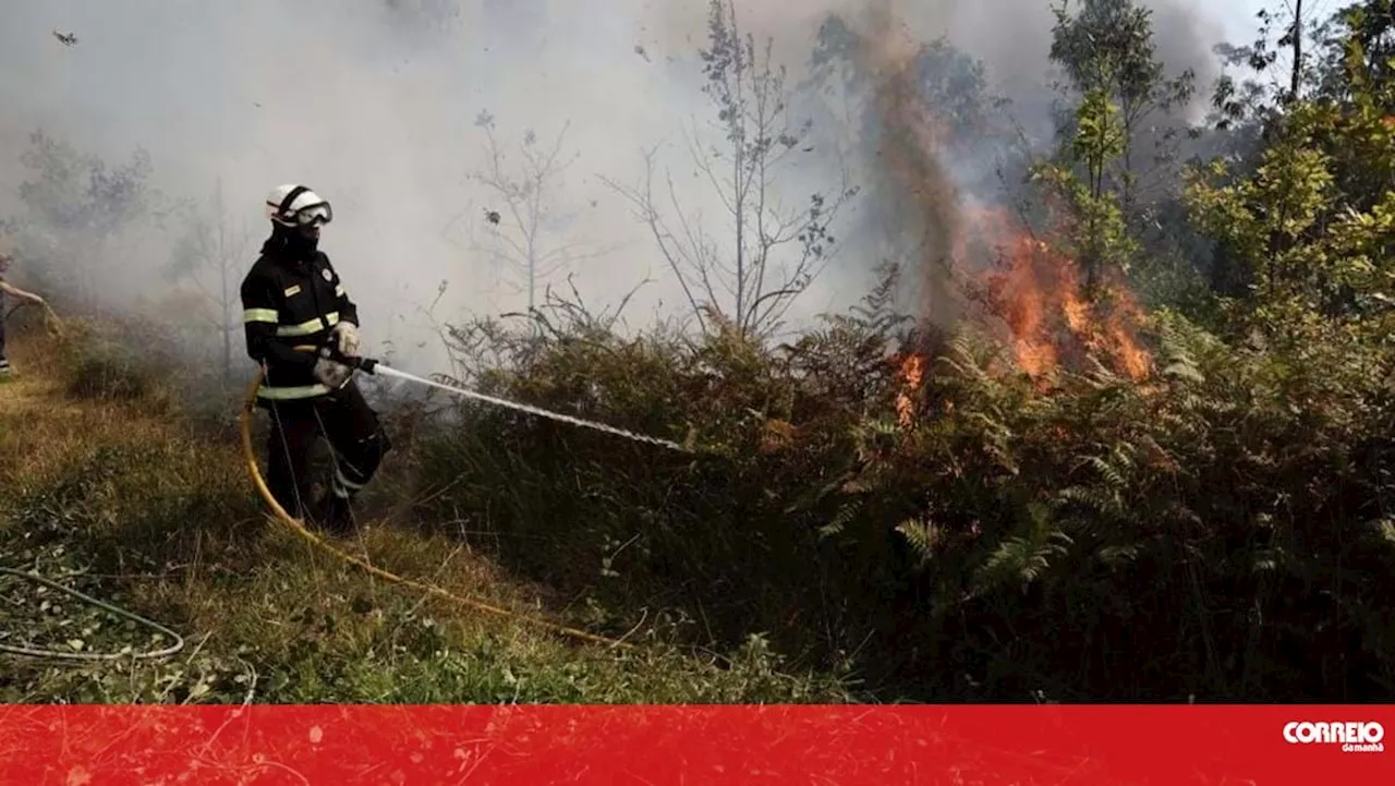 FlixBus suspende viagens de autocarro em Aveiro e no Porto devido aos incêndios