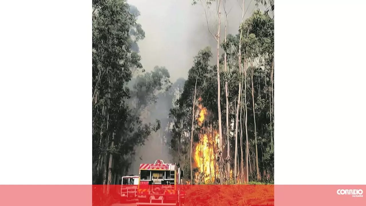 Incêndios em Portugal levam Governo a declarar situação de alerta