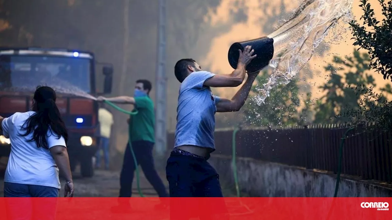 Incêndios levam Rede Expressos a suspender viagens entre Lisboa e Porto