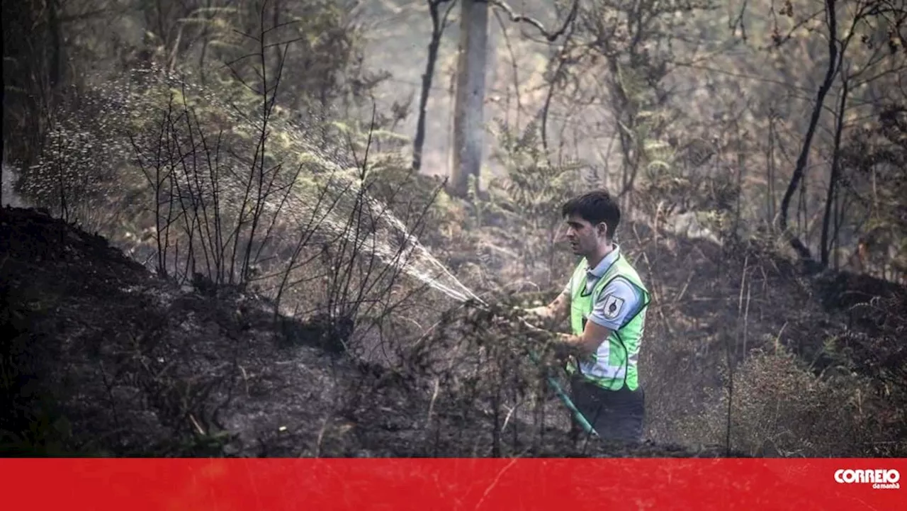 Vila Verde cria dispositivo com GNR para vigiar e patrulhar concelho à noite