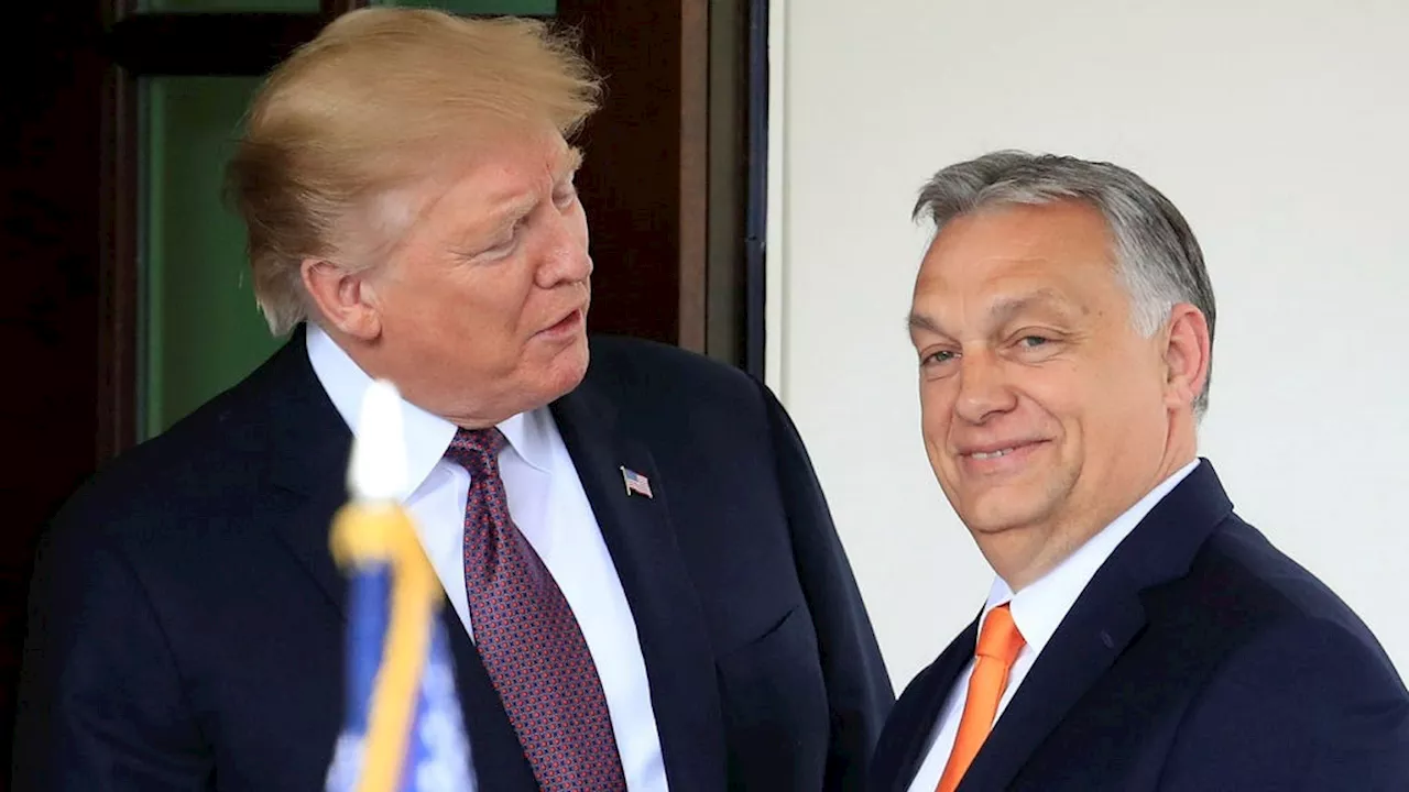 Michael Winiarski: Trump vill göra som Orbán gjort i Ungern