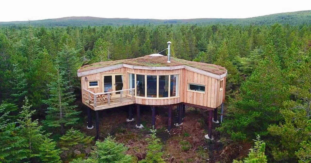 The 'breathtaking' Scottish treehouse you can stay in for autumn staycation