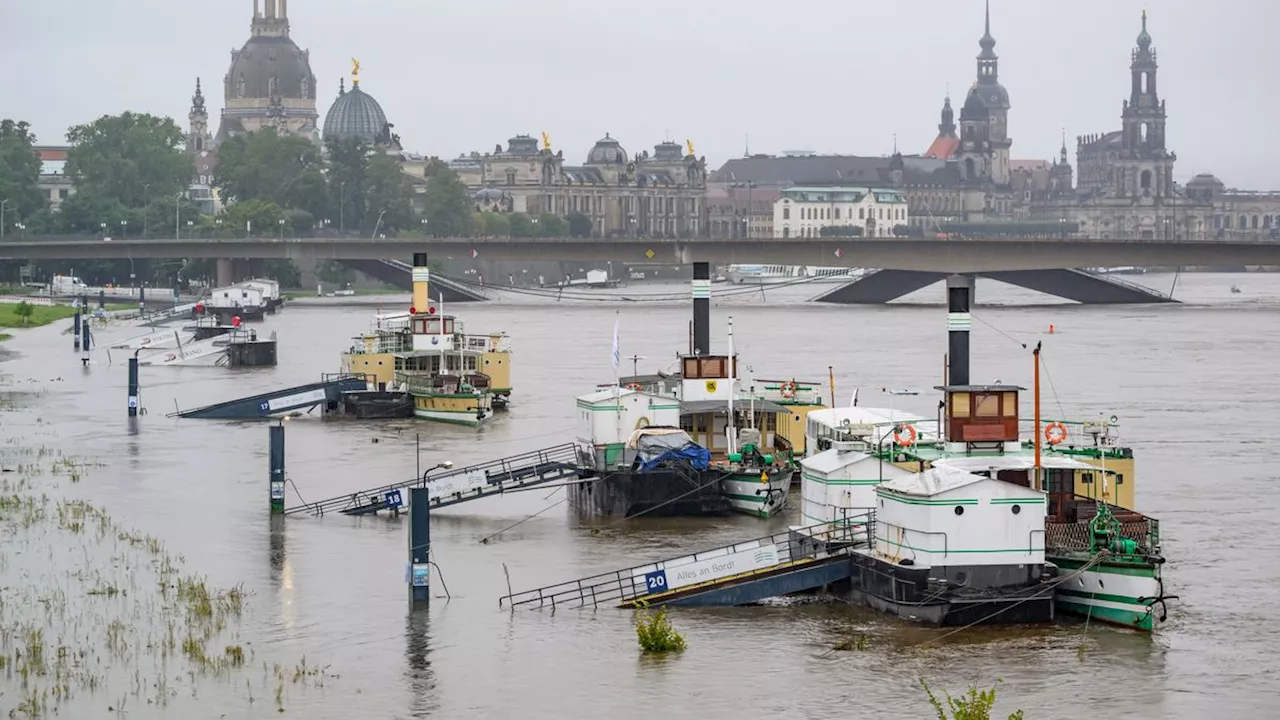 Hochwasserwarnstufe 2 in Dresden - Elbe könnte über 600 Zentimeter steigen