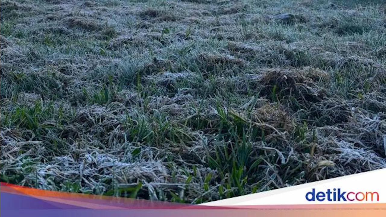 Brr! Suhu di Dieng 0 Derajat Pagi Tadi, Muncul Embun Es