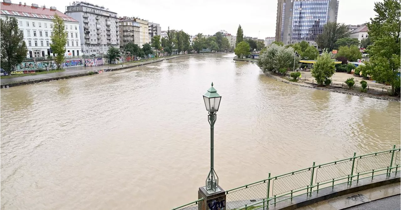 Strandbar Herrmann nach dem Hochwasser: Helfen mit einem „Reparaturseidl“