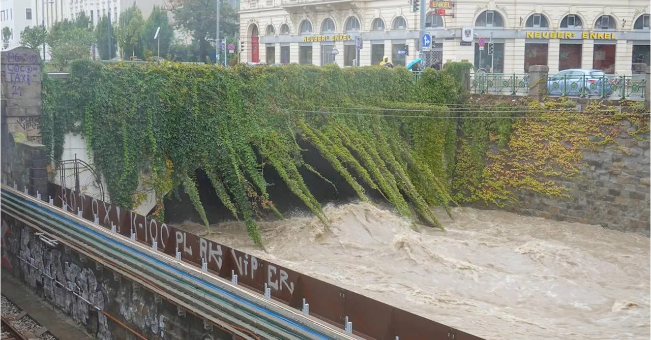 Unwetter: Kurioser Rettungseinsatz im Ölhafen Lobau