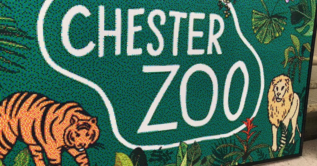 Chester Zoo offering reduced price tickets this weekend but there's a catch