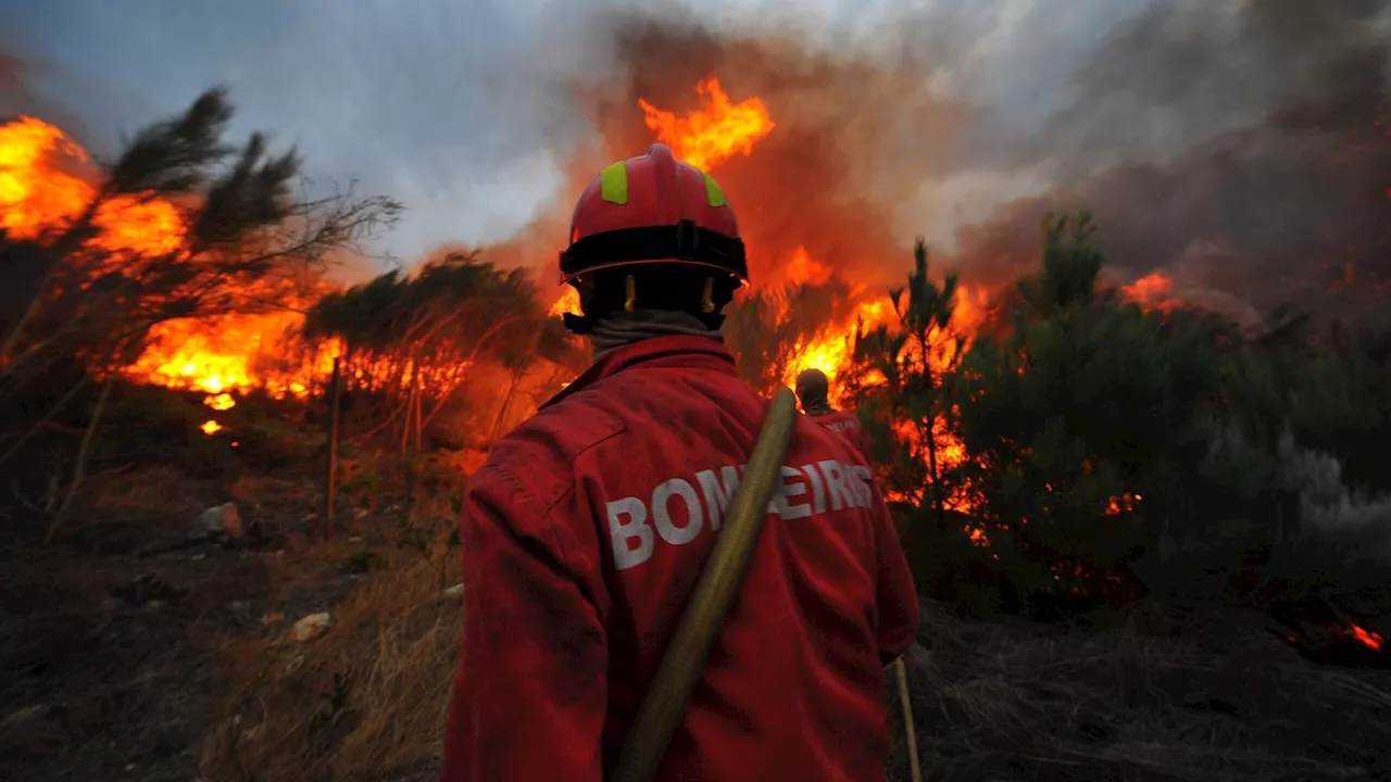 Fidelidade ativas plano de apoio para clientes afetados pelos incêndios em Portugal