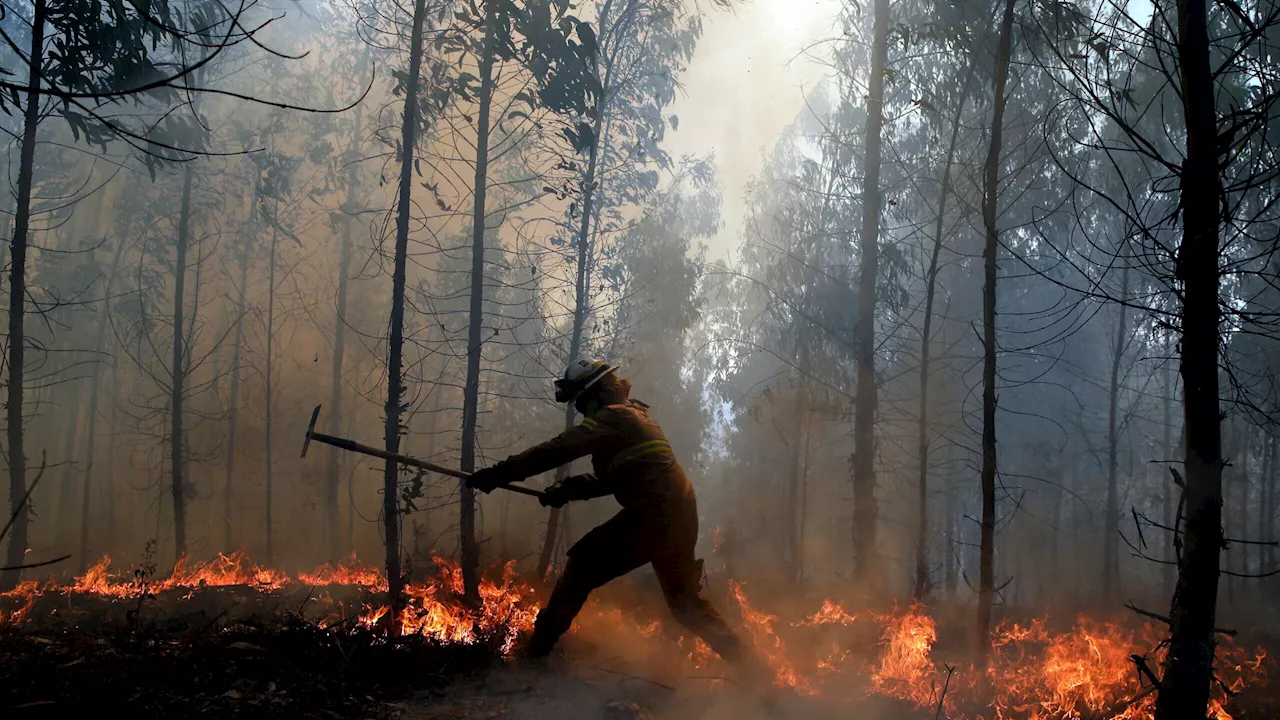 Incêndios cortam autoestradas A1, A25 e A29 em Aveiro