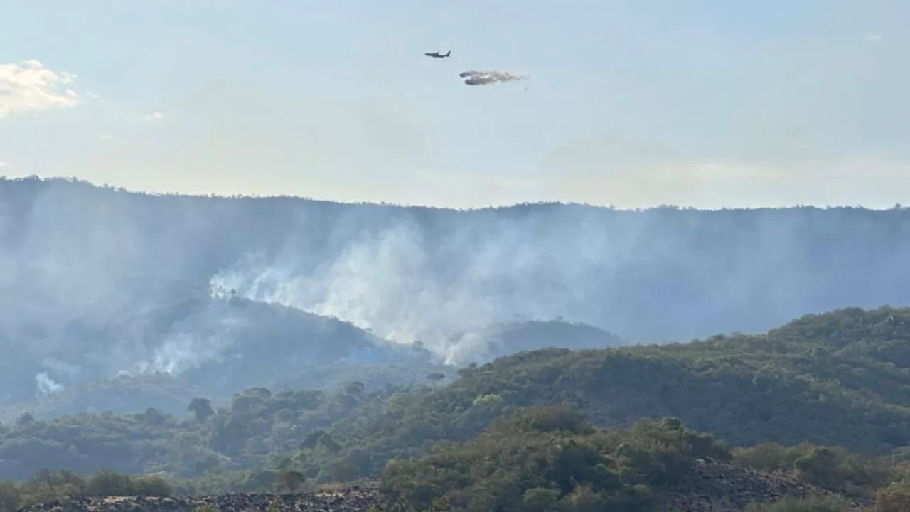 Ungrd reporta 20 incendios forestales activos, la mayoría en Huila y Tolima