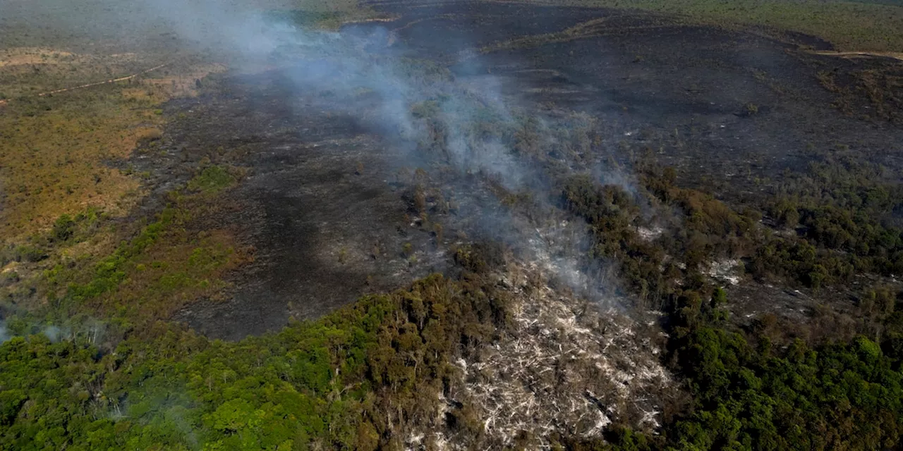 Waldbrände in Portugal fordern drei Todesopfer und mindestens 17 Verletzte