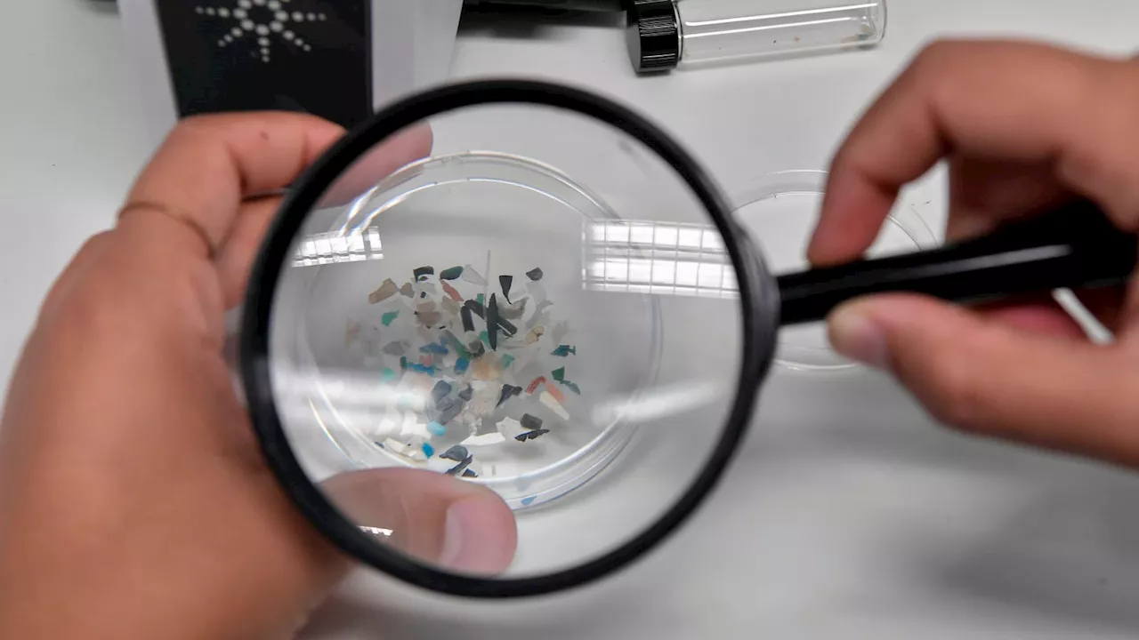 Microplastics Found In Human Brain, Study Says—After Being Detected In Hearts, Blood