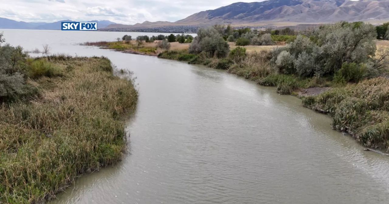 Conservation leads to more water for Great Salt Lake