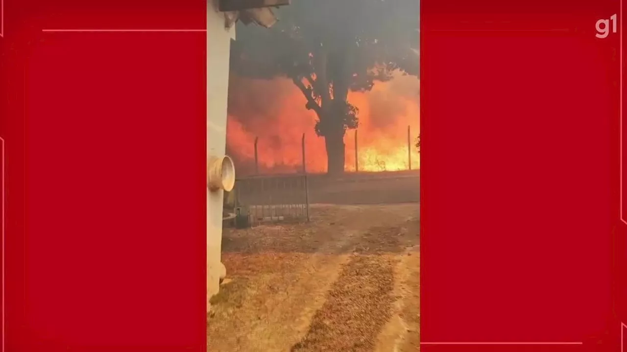 Incêndios na área central de Brasília assustam; veja VÍDEOS