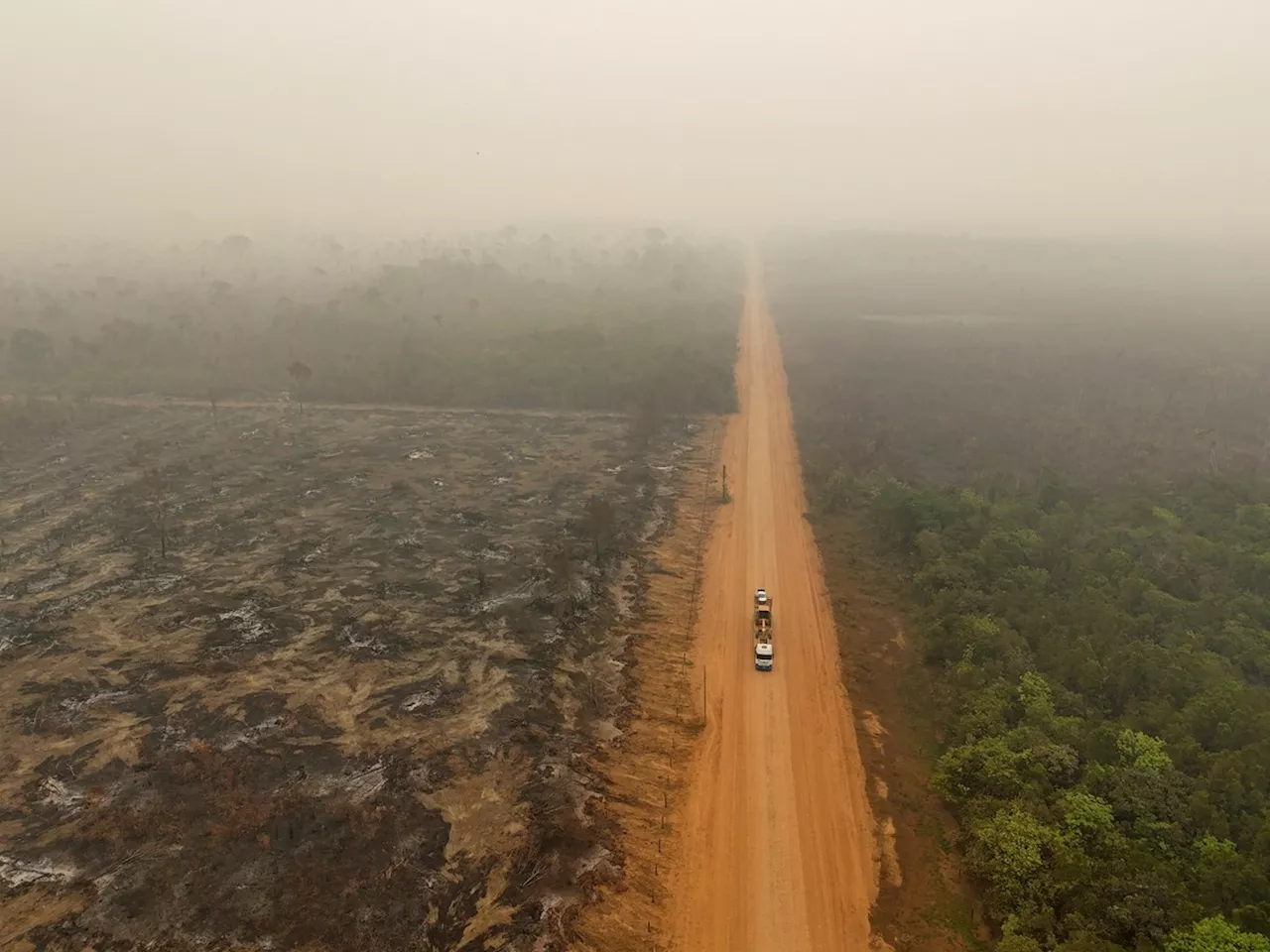 Queimadas na Amazônia Emitem 31 Milhões de Toneladas de CO2