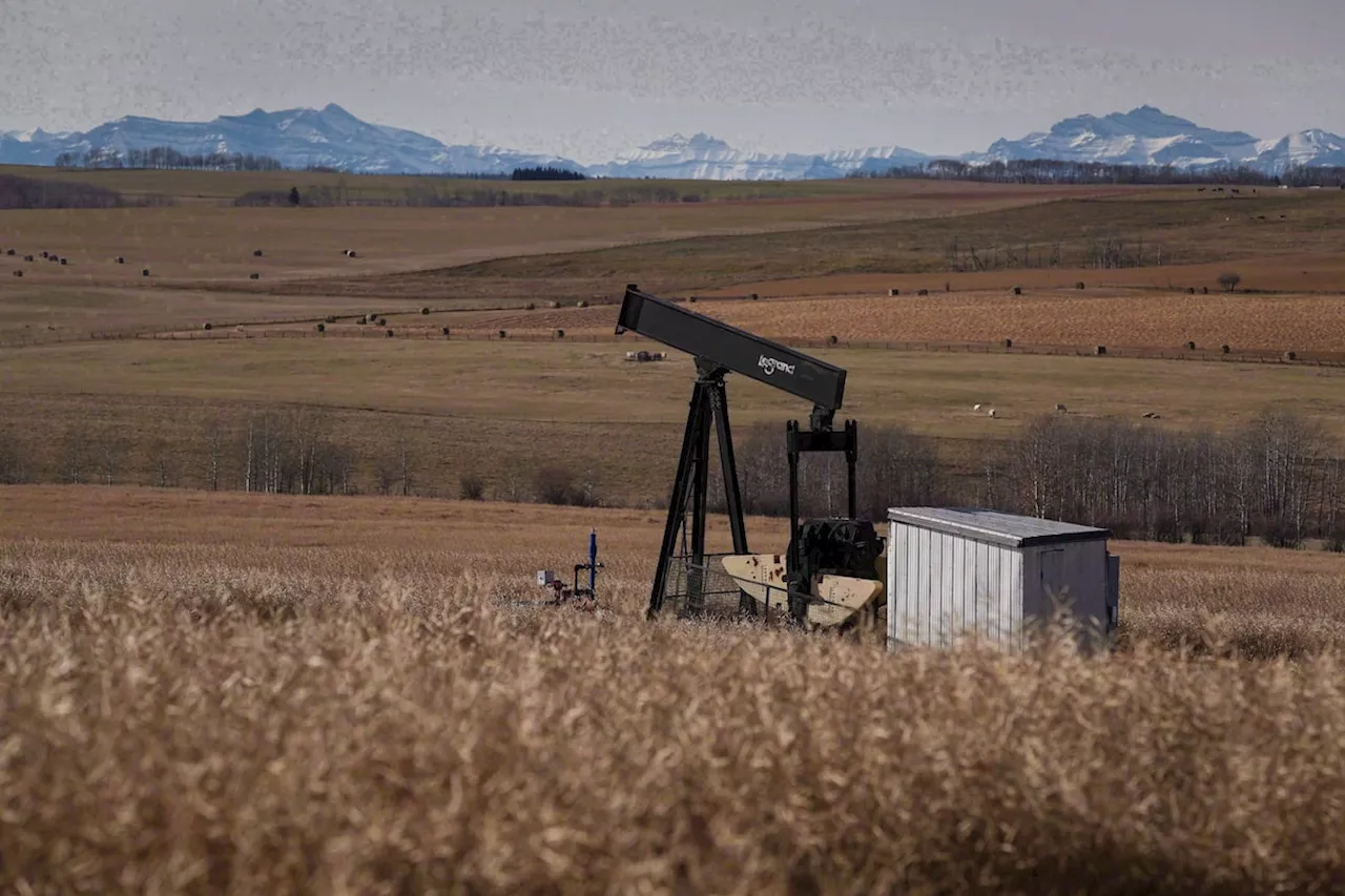 Alberta Energy Minister says public money could help finance cleanup of unreclaimed oil, gas sites