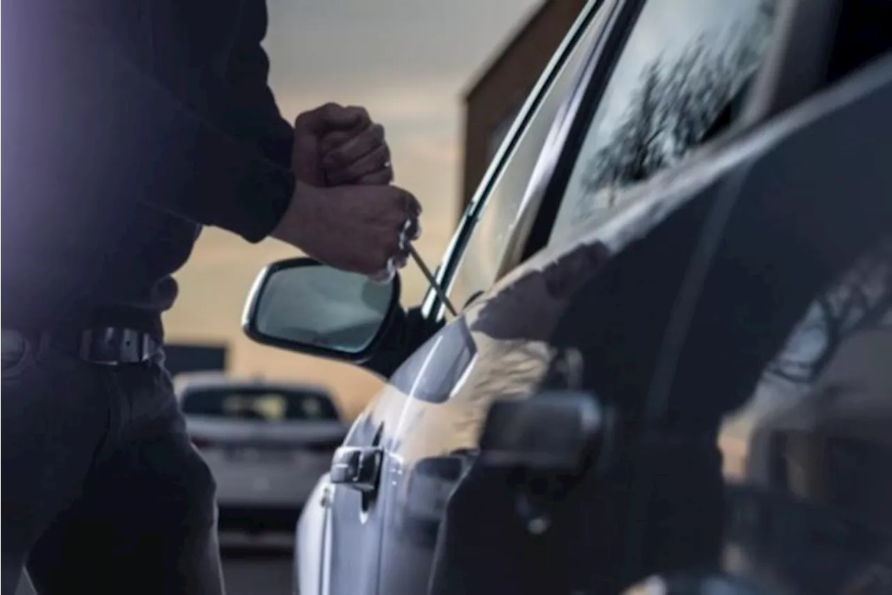 Dieven stelen portefeuille uit auto