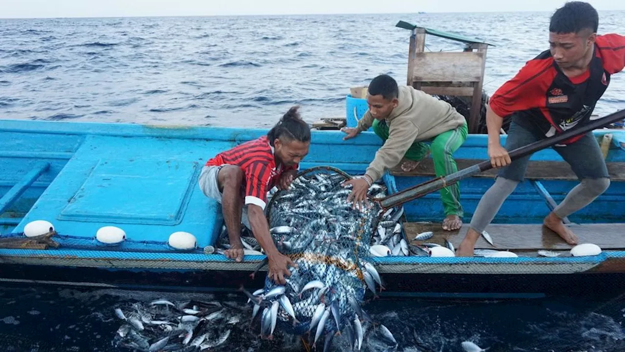 Marak Penangkapan Ikan Ilegal, Pemprov Maluku Akan Tetapkan Kawasan Konservasi Baru