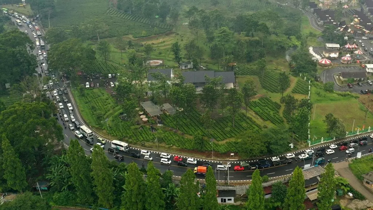 Volume Kendaraan Tinggi, Kemacetan Parah Terjadi di Jalur Puncak