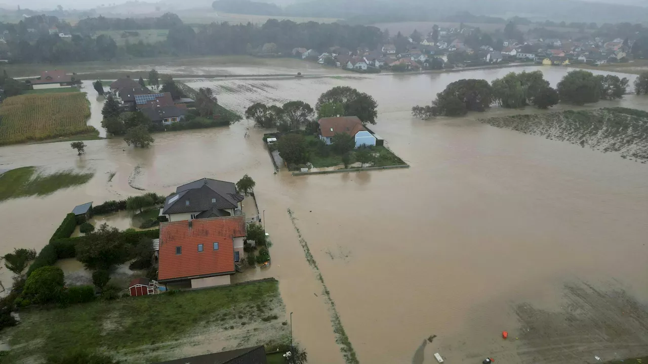 Ernteausfälle und Verwüstungen - Millionenschäden durch Hochwasser in der Landwirtschaft