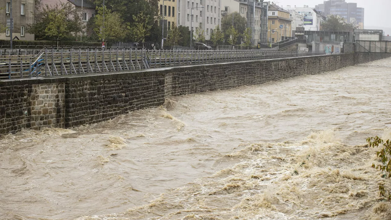  Hochwasser-Chaos! Flut spült nun Kürbisse nach Wien