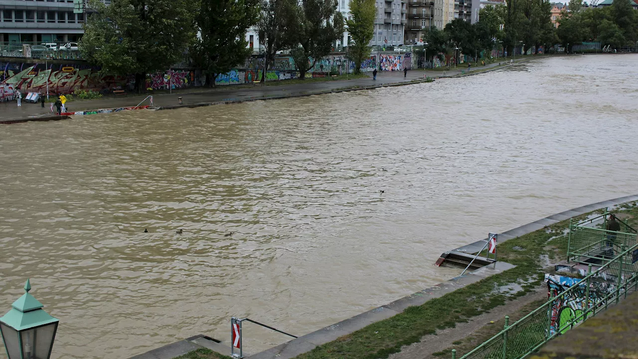 Schutz in Wien ausbauen - Renaturierung soll vor Überschwemmung schützen