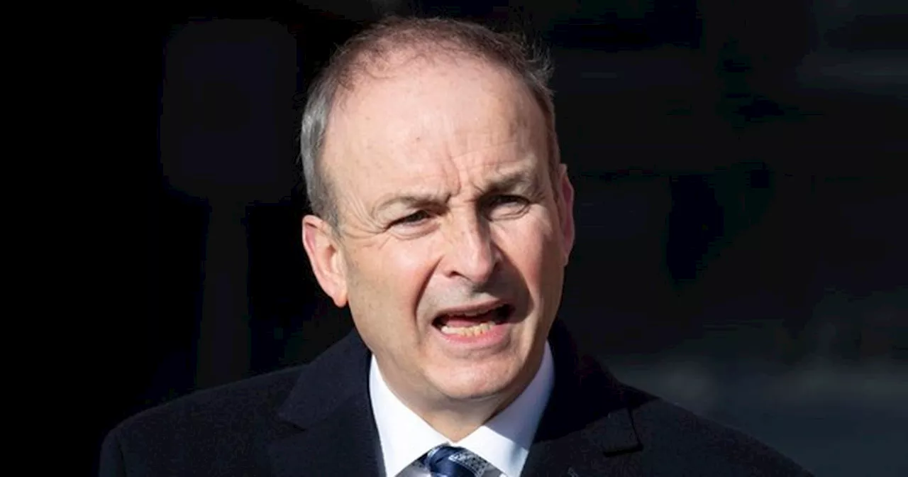 Tanaiste Micheál Martin insists the general election will be in February