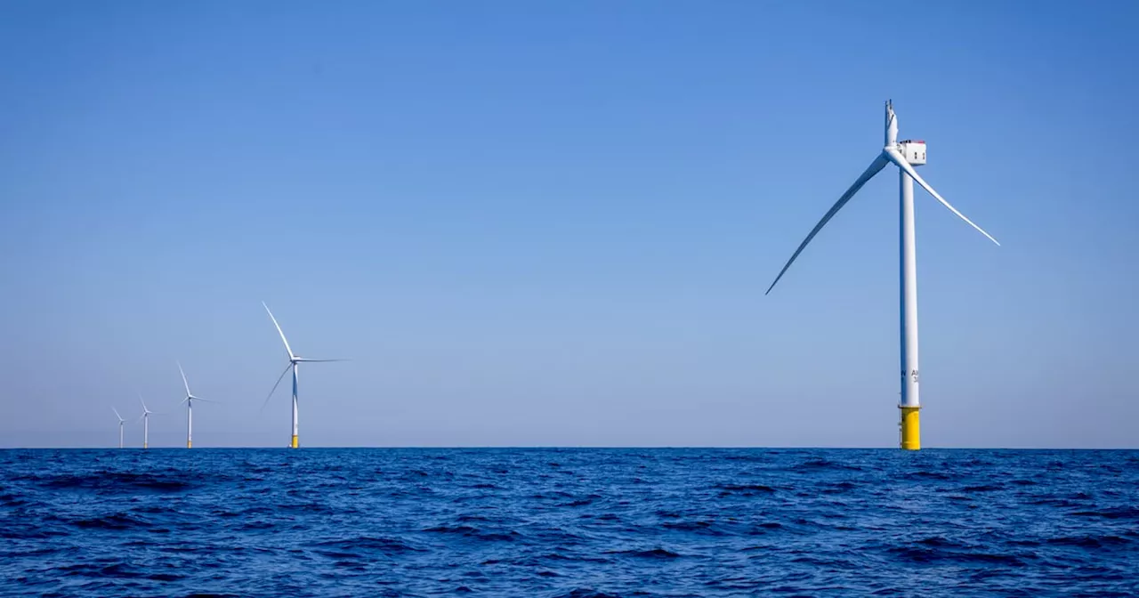 Offshore wind farms: Four developers lodge planning applications