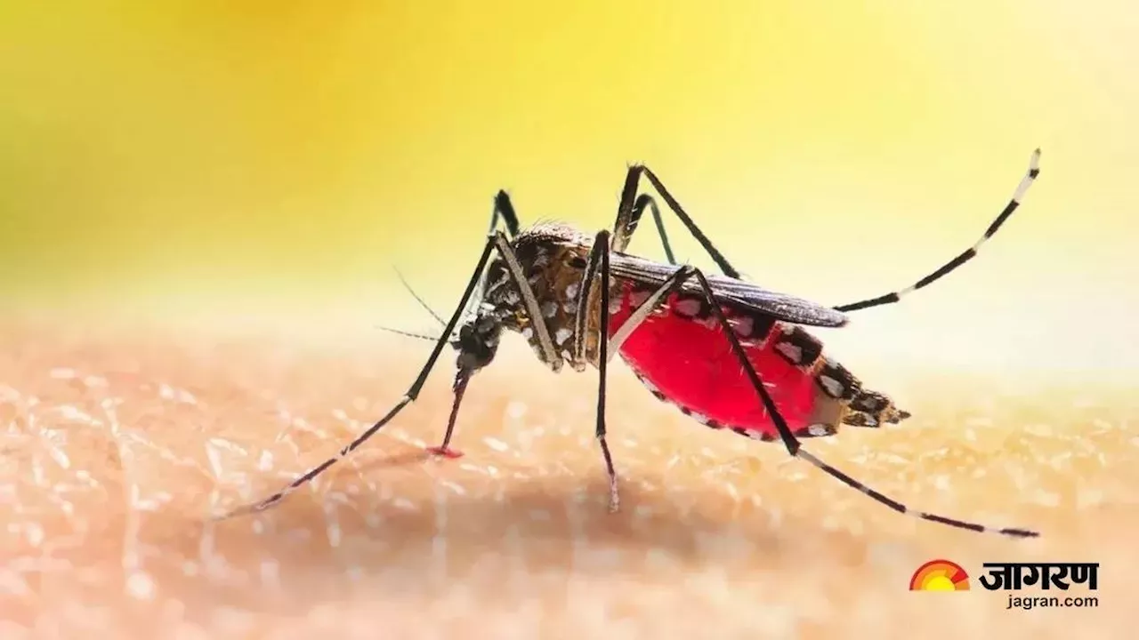 Dengue Outbreak: दिल्ली में डेंगू से दूसरी मौत, राजधानी में बढ़ते मरीजों ने बढ़ाई चिंता