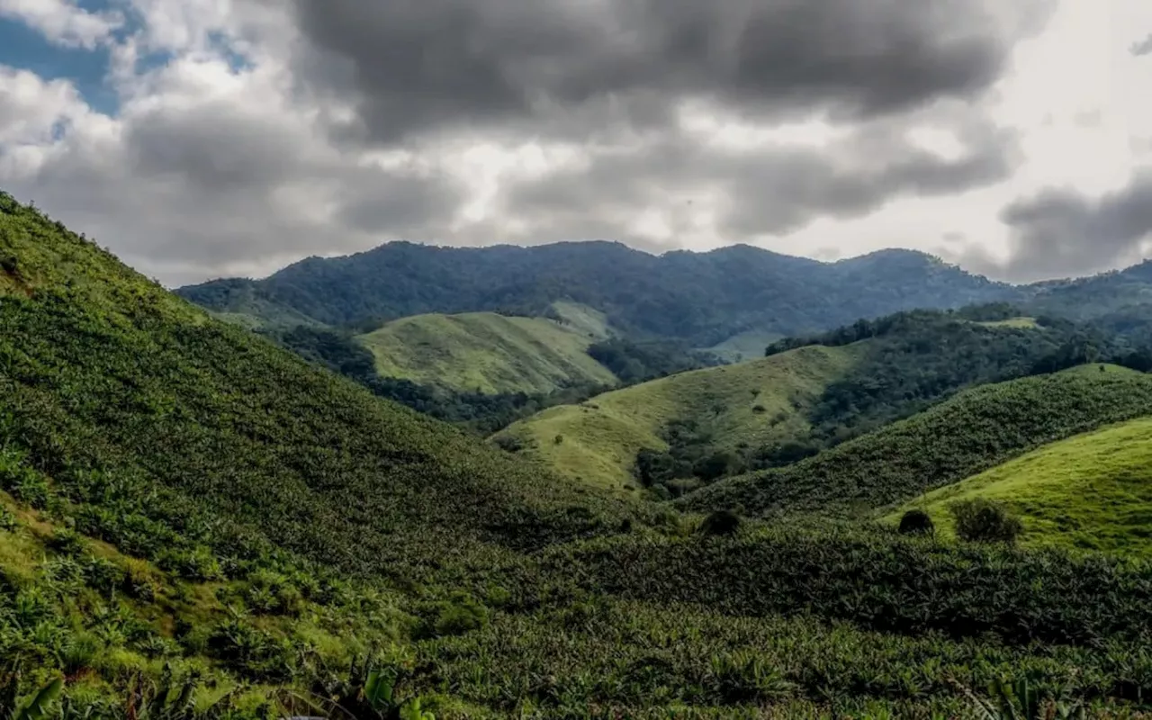 Operação contra o desmatamento da Mata Atlântica começa em 17 estados