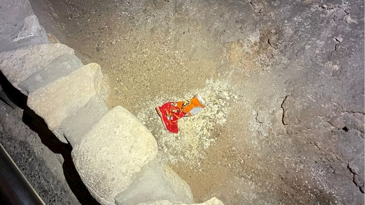 Spilled Bag Of Cheetos Creates A Miniature Ecosystem In Cave