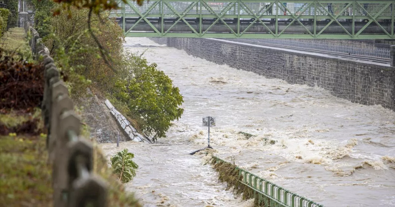 Hochwasser erreicht Wien: Stadt im Notstand