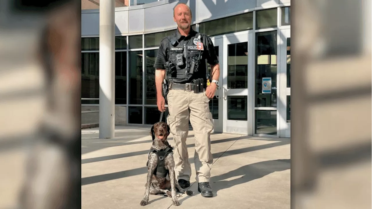 Ogden School District is Utah's 2nd to add weapons-, drug-detecting K-9