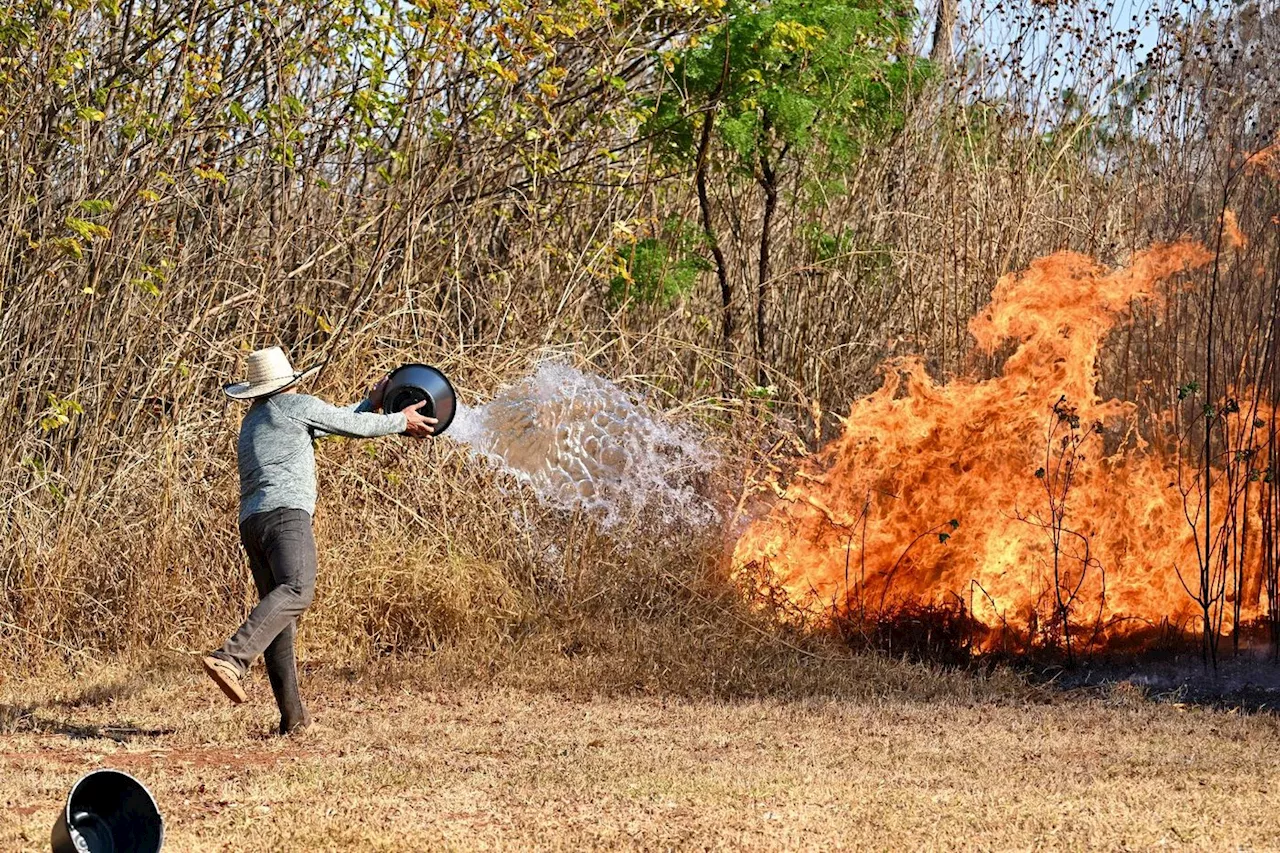 Vague d'incendies au Brésil: les flammes touchent désormais le parc national de Brasilia