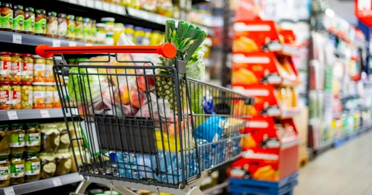 Los Alimentos Más Baratos Para Comprar En Corabastos - Canasta Familiar ...